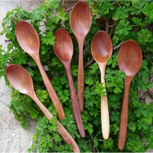 Bamboo Spoon